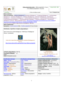 Fiche-presentation-Albizia-polyphylla