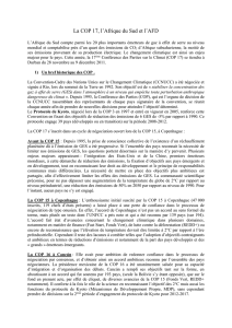 La COP 17, l`Afrique du Sud et l`AFD