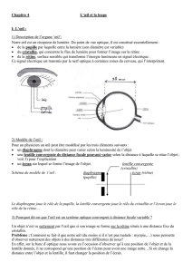 chap-4-l-oeil-et-la