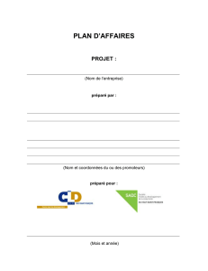 Plan d`affaires - CLD du Haut-Saint