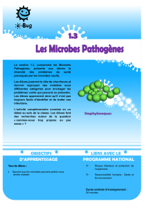 Microbe responsable Maladie Bactéries Méningite bactérienne