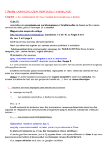 1 Partie :Communication nerveuse.(7