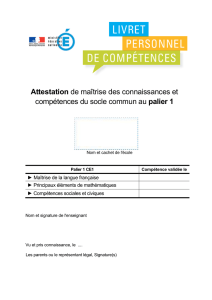 livret personnel de compétences pour le palier 1