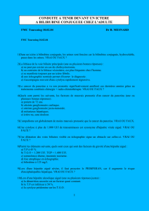 FMC Tourcoing 10.02.04 Dr B. MESNARD FMC Tourcoing 10.02.04