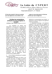 Professeur Jean-Pierre GOULLE