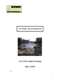 Un trésor de stromatolite - Commission scolaire des Draveurs