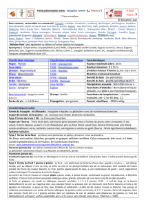 Syzygium cumini - Documents pour le développement durable de l