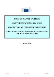 DOSSIER D`APPEL D`OFFRES MAB/PHP/TR1/AN2/TRANSV_6