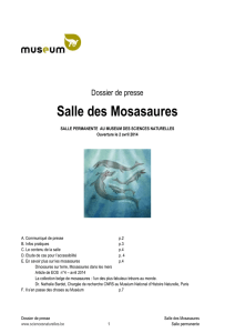 Dossier de presse Salle des Mosasaures SALLE PERMANENTE AU