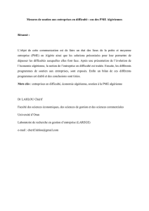 Mesures de soutien aux entreprises en difficult&eacute; : cas des PME