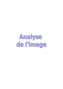 Cours d`Analyse de l`Image - 243 Ko