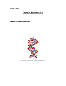 Ionascu Gabriel Compte Rendu de T.P. Analyse d`acides nucléiques