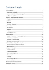 Gastroentérologie 208KB Feb 27 2012 11:06:13 PM