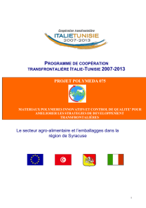 Programme de coopération transfrontalière Italie-Tunisie 2007-2013