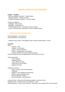 Aspects m&eacute;dicaux des handicaps