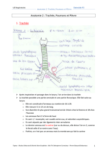 Anatomie 2: Trachée, Poumons et Plèvre Entraide P2 UE