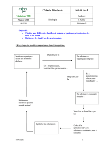 III Classification et ultrastructure des bactéries
