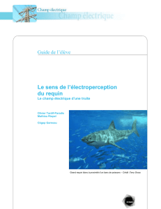 Guide de l`élève Le sens de l`électroperception du requin Le champ
