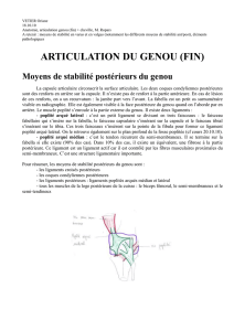VETIER Oriane 18.10.10 Anatomie, articulation genou (fin) +