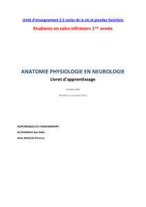 i. les nerfs craniens