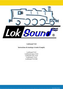 LokSound V4.0 Instructions de montage et mode d`emploi