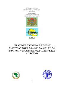 strategie nationale et plan d`actions pour la mise en œuvre de l