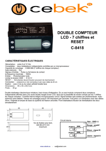DOUBLE COMPTEUR LCD - 7 chiffres et RESET C-8418