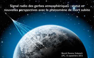 Signal radio des gerbes atmosphériques : statut et nouvelles