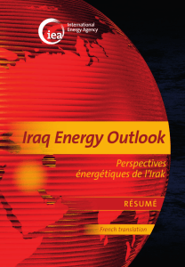 Iraq Energy Outlook - International Energy Agency