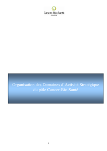 Organisation des Domaines d`Activité Stratégique du pôle Cancer