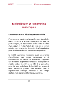 La distribution et le marketing numériques