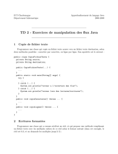 TD 2 - Exercices de manipulation des flux Java