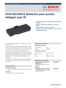 DCN-WLIION-D Batteries pour postes délégué sans fil