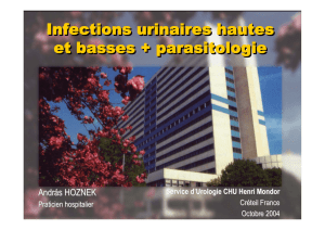 Infections urinaires hautes et basses - Service d`Urologie