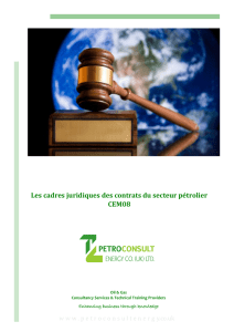 Les cadres juridiques des contrats du secteur pétrolier CEM08