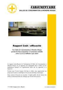 Rapport Coût / efficacité - Global Platform for Drug Consumption