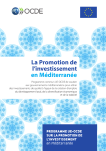 La Promotion de l`investissement en Méditerranée