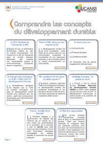 Le DD à l`échelle de l`entreprise, la RSE Avant la RSE