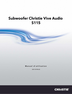 Subwoofer Christie Vive Audio S115