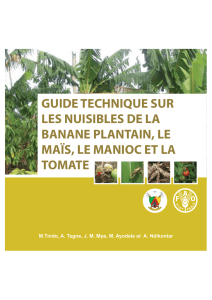 guide technique sur les nuisibles de la banane plantain, le maïs, le