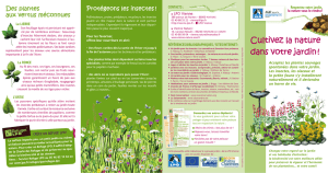 Cultivez la nature dans votre jardin