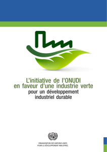 L`initiative de l`ONUDI en faveur d`une industrie verte