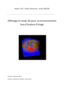 Affichage et rendu 3D pour un environnement Java d`analyse d`image