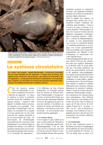 Le système circulatoire / Insectes n° 166