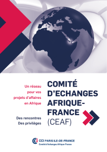 comité d`echanges afrique- france - Entreprises (CCI PARIS-IDF)