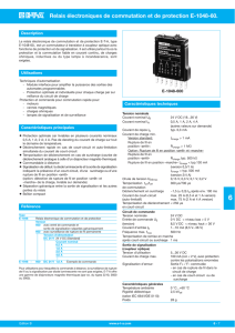Relais électroniques de commutation et de protection E-1048
