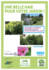 UNE BELLE HAIE POUR VOTRE JARDIN !