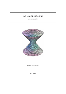 Le Calcul Intégral - Daniel Farquet