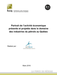 Portrait de l`activité économique présente et projetée dans