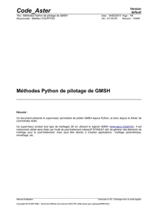 Méthodes Python de pilotage de GMSH